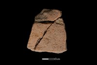 陶片藏品圖，第2張